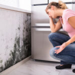 Mold Inspection by ServiceMaster