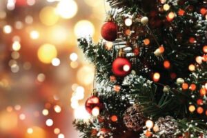 Read more about the article How to Avoid Christmas Tree Fires this Holiday