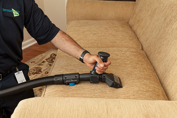 Upholstery Cleaning by ServiceMaster