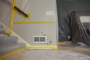 Read more about the article Top 7 Factors Affecting Mold Remediation Costs